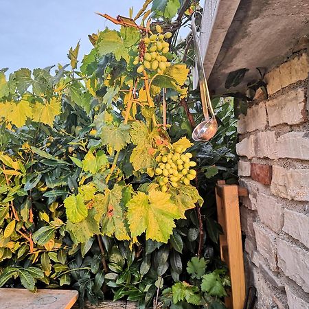 Casa Romantica ウマグ エクステリア 写真